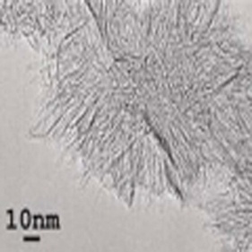 i biosensori usavano nanohorn in carbonio a parete silangle