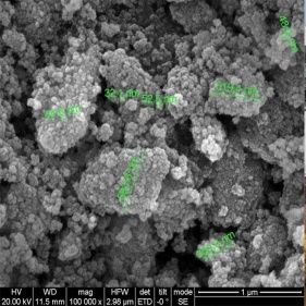 grande biossido di zirconio ssa nano zro2