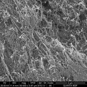 nanotubi di carbonio usati come fibre superfine ad alta resistenza