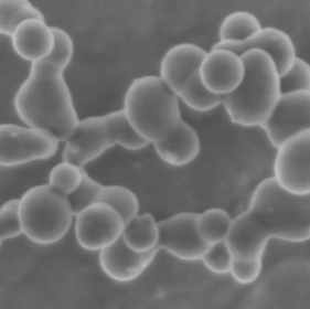polveri di silicio nanostrutturate per anodi di batterie al litio ad alta capacità