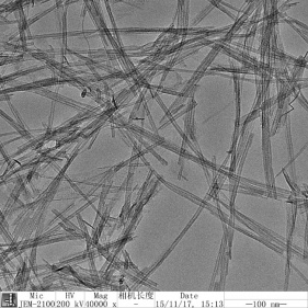 nanotubi di ossido di titanio