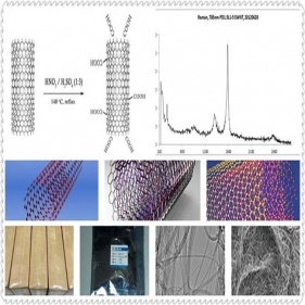 nanotubi di carbonio (cnts)