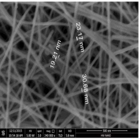 argento nanowires agnws