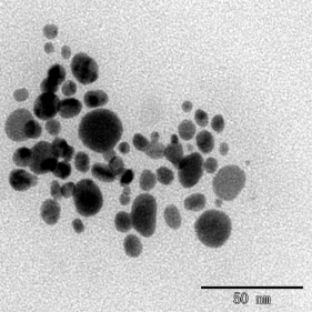 nanoparticelle di argento nanotecnologico in polvere di metallo