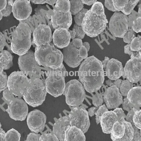 antibiosi resistenza all'ossidazione argento nanoparticelle
