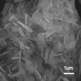 polveri di nitruro di boro esagonale nano e micron