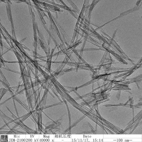 nanotubi di ossido di titanio con alto ssa