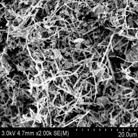 Fili/barre di silicio nano