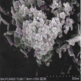 nanoprticoli bi2o3 di ossido di bismuto giallo chiaro