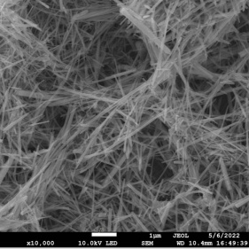 i materiali sensibili utilizzavano nanofili ad alto contenuto di ossido di zinco attivo