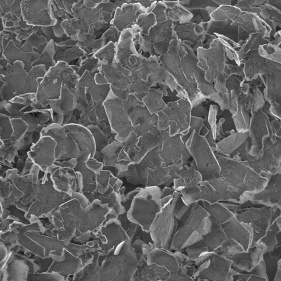 Nanosfogli di nitruro di boro