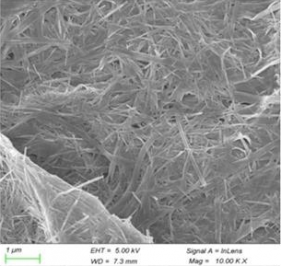 nanofilo di VO2