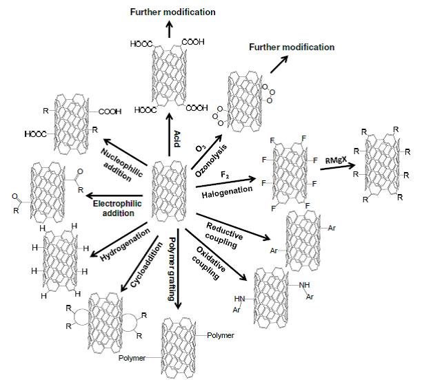 modifica funzionale su superficie di nanotubi di carbonio (cnts)