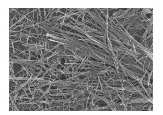 Materiali nano di biossido di vanadio: una guida completa a particelle monoclino, drogato con W e nanofili