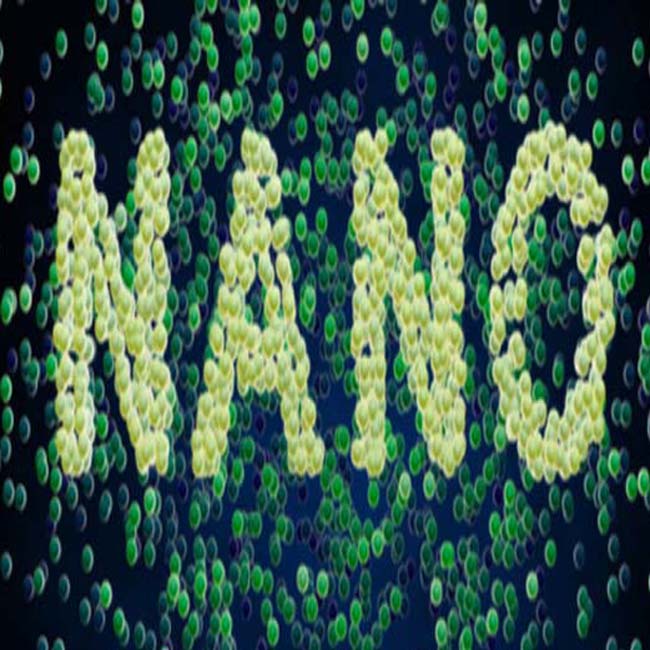 introduzione di nanomateriali magnetici